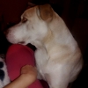 rubianny20201031162042.jpeg